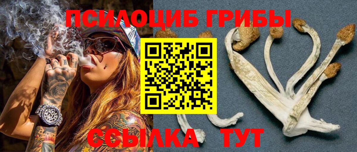 Галлюциногенные грибы MAGIC MUSHROOMS Ирбит