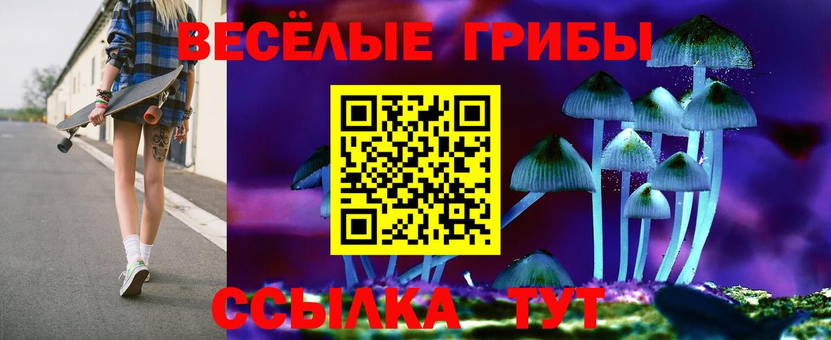 Ирбит  наркотики  Вход с VPN  Псилоцибиновые грибы ЛСД 